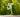 Trampoline Early Education—Entertainment or Educational Tool?