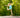 Trampoline Early Education—Entertainment or Educational Tool?