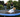 The Surprising Science Behind Rebounding: Why Trampoline Exercise is Your Ultimate Full-Body Workout