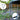 Jumptastic Universal Trampoline Anchor Kit